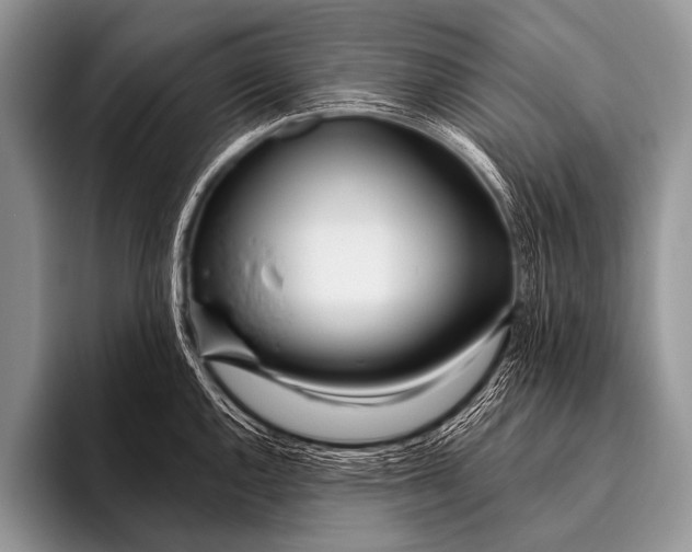 X0000096181144200802081454