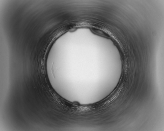 X0000096181145200802081454