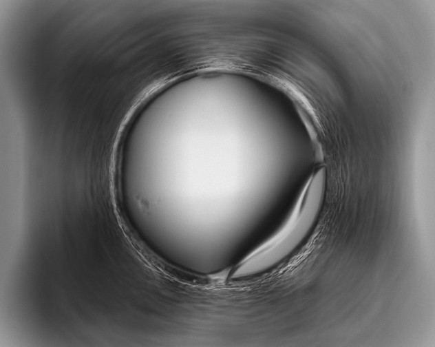 X0000096181146200802081454
