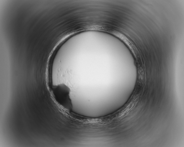 X0000096181147200802081454