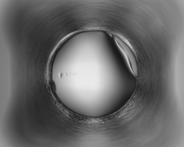 X0000096181148200802081454