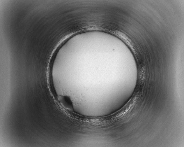 X0000096181149200802081454
