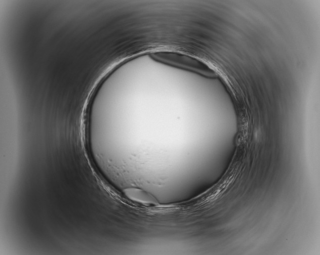 X0000096181151200802081454