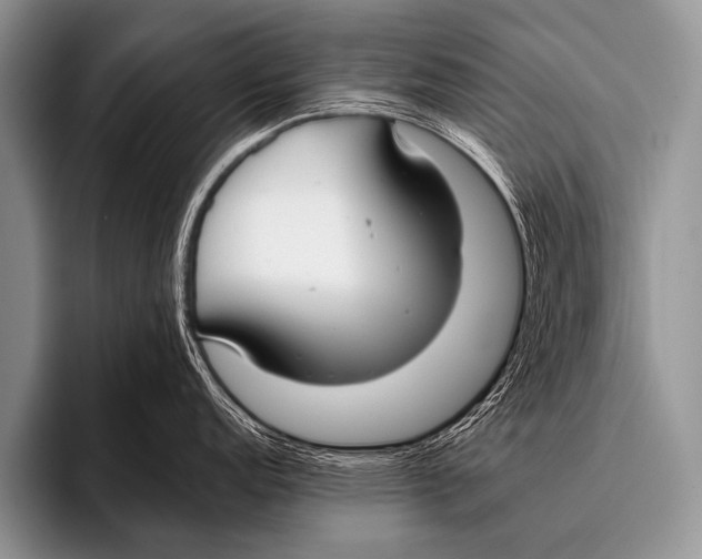 X0000096181152200802081454