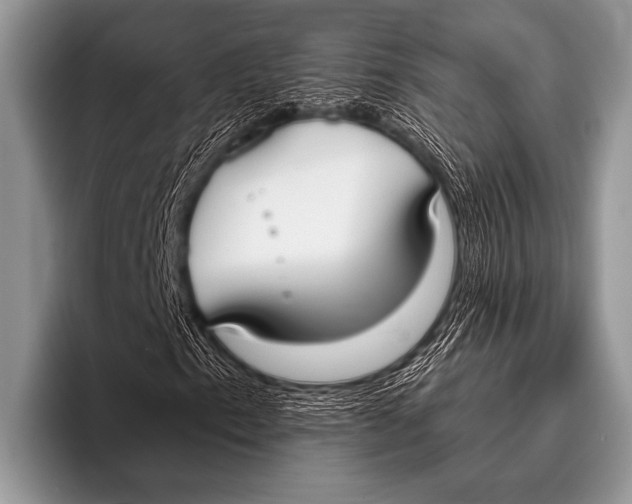 X0000096181153200802081454