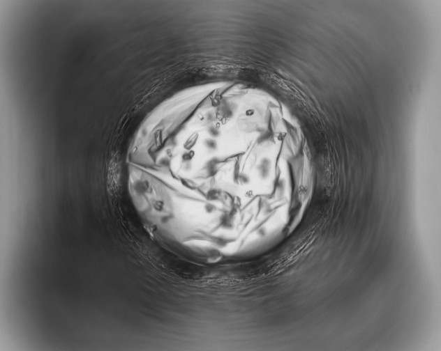 X0000096181154200802081454