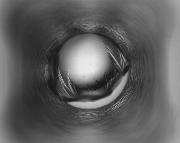 X0000096181156200802081454