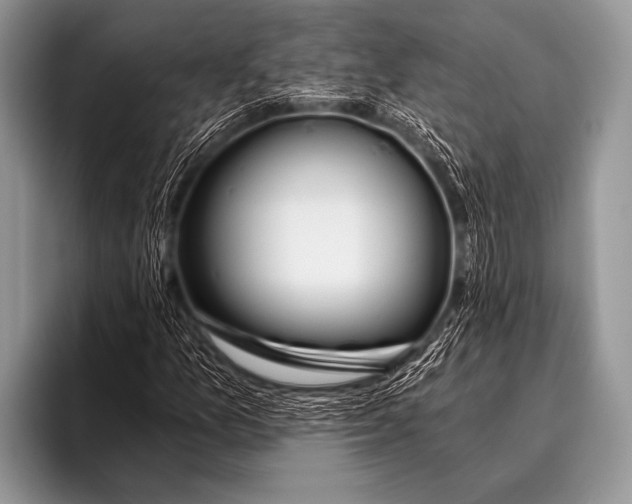 X0000096181157200802081454