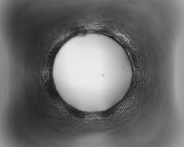 X0000096181159200802081454