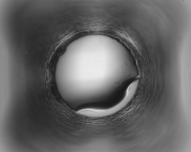 X0000096181160200802081454