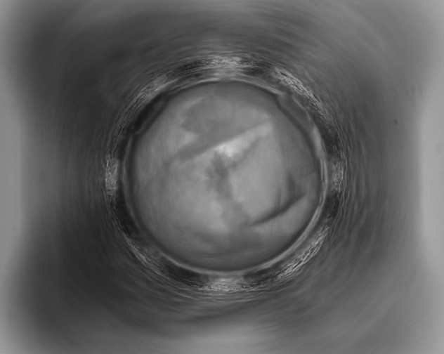 X0000096181161200802081454