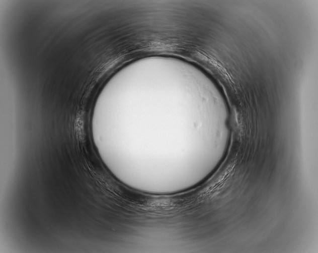 X0000096181162200802081453