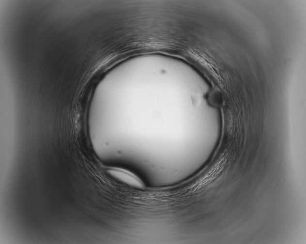 X0000096181163200802081453