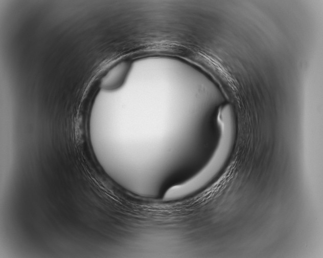 X0000096181164200802081453