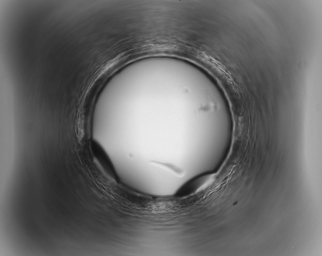 X0000096181165200802081453