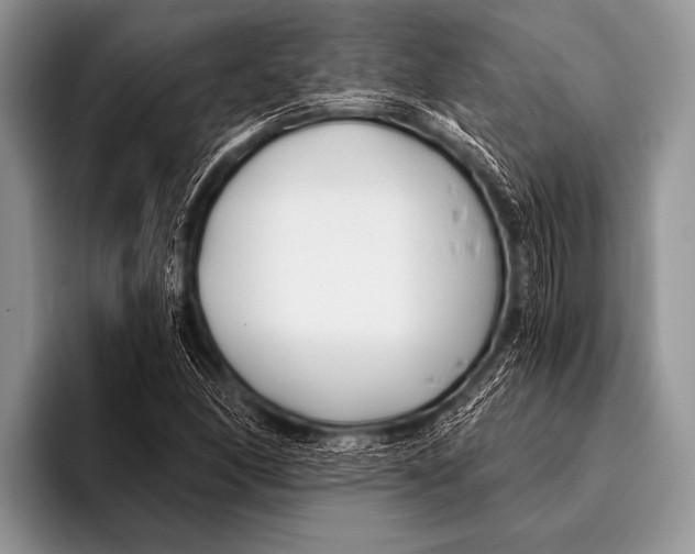 X0000096181166200802081453