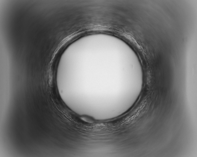 X0000096181167200802081453