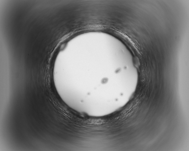 X0000096181168200802081453