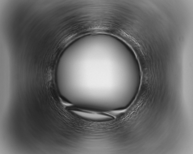 X0000096181169200802081453