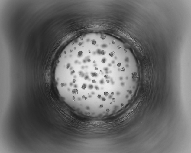 X0000096181170200802081453