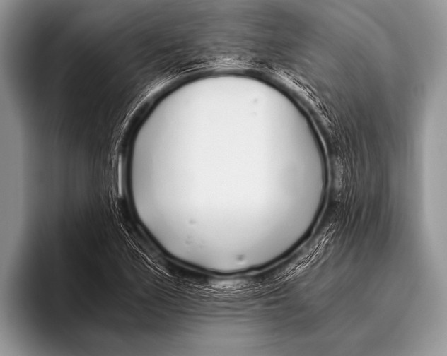 X0000096181171200802081453