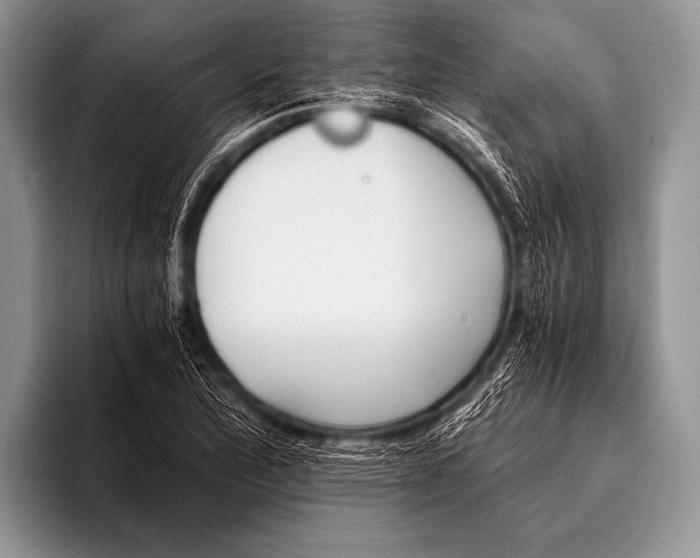 X0000096181172200802081453
