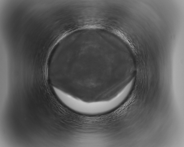 X0000096181173200802081453