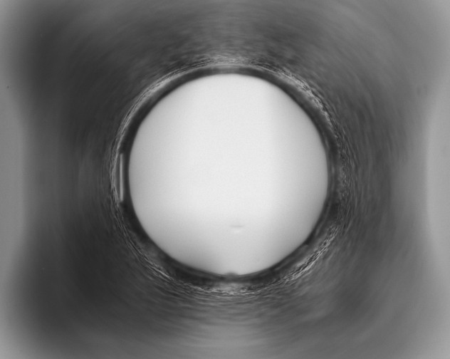 X0000096181175200802081453