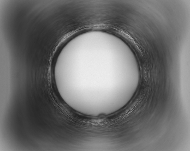 X0000096181176200802081453