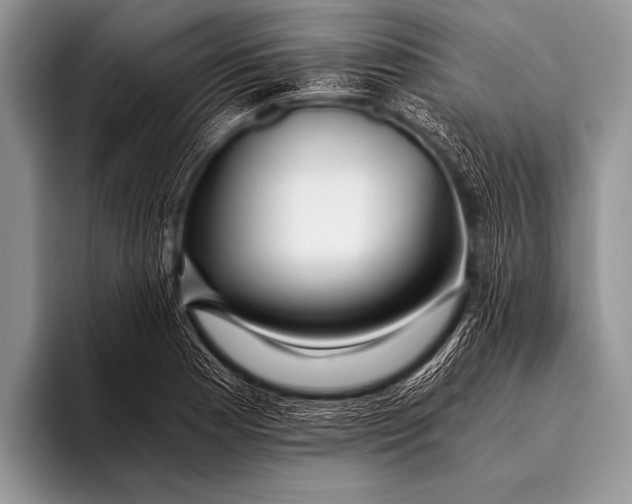 X0000096181177200802081453