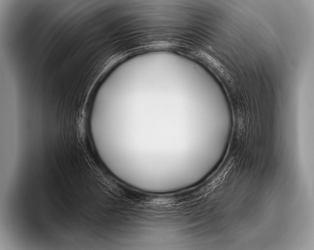 X0000096181178200802081453