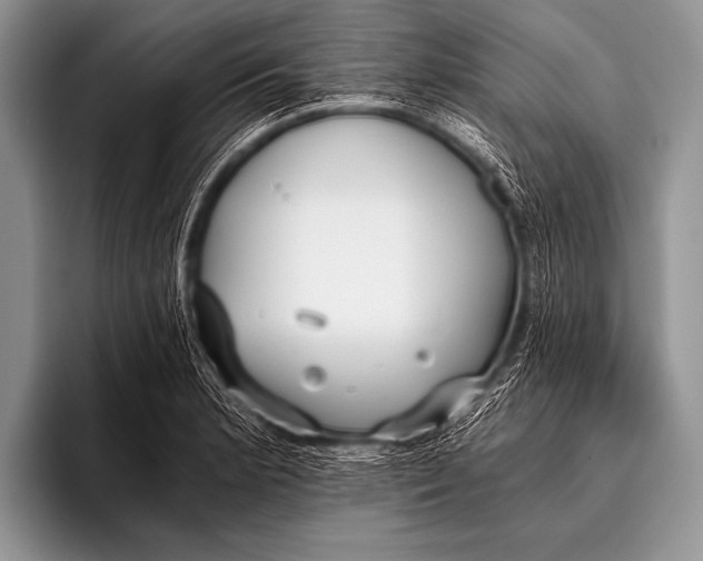 X0000096181181200802081453