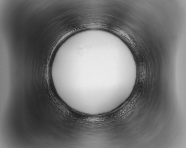X0000096181182200802081453