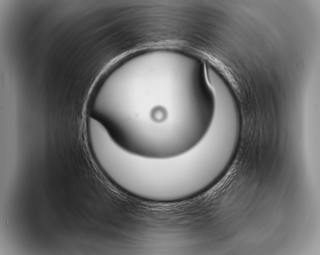 X0000096181184200802081453
