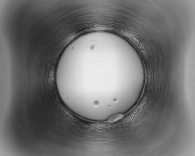 X0000096181185200802081453
