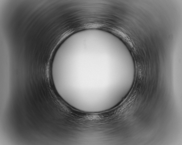 X0000096181186200802081453