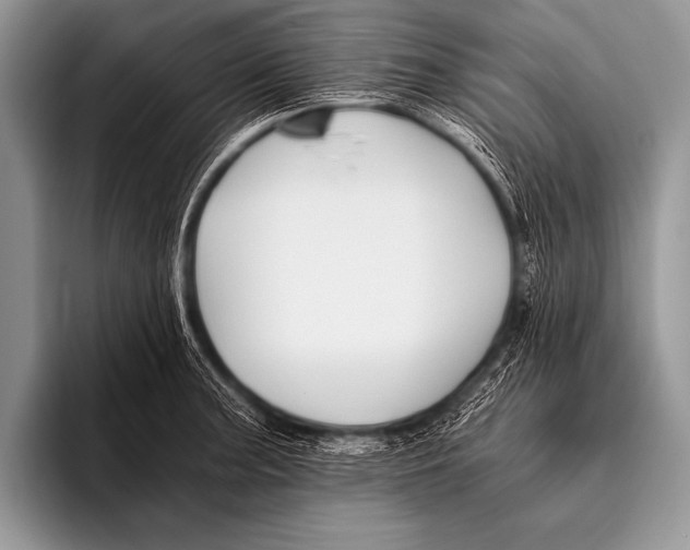 X0000096181187200802081453
