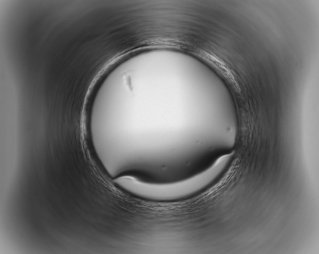 X0000096181188200802081453