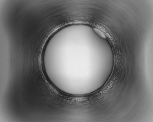 X0000096181189200802081453