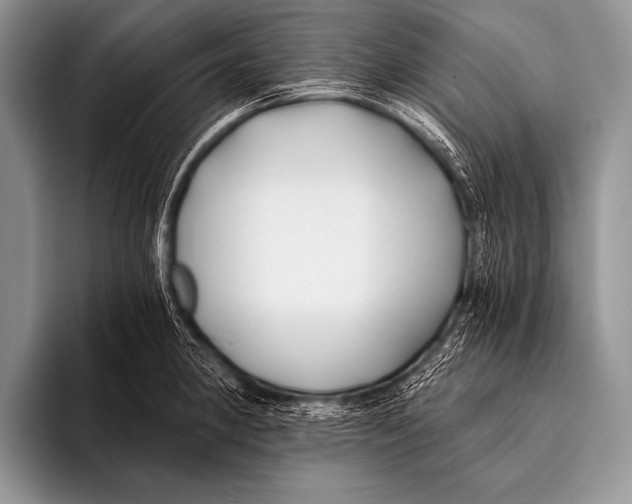 X0000096181190200802081453
