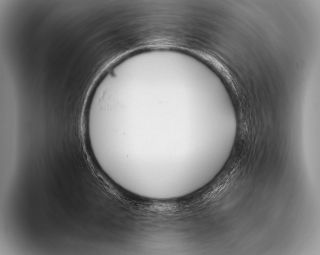 X0000096181191200802081453
