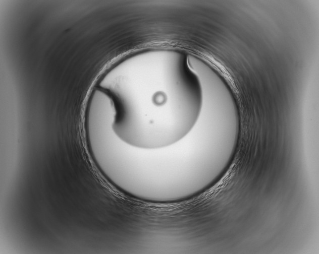 X0000096181192200802081453