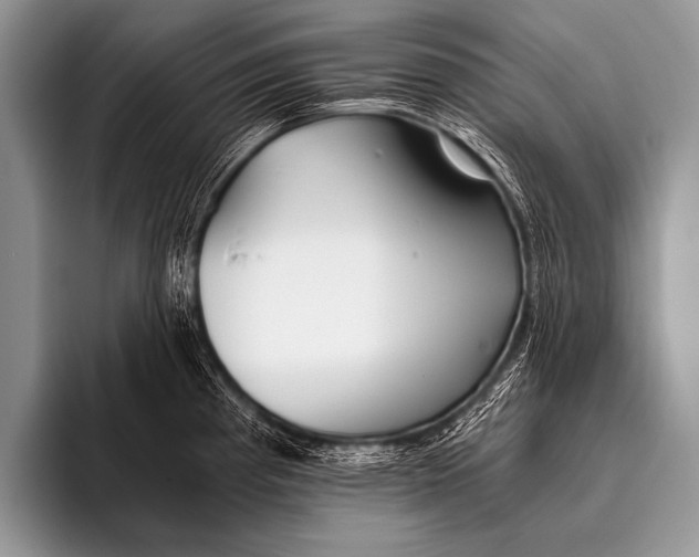 X0000096181193200802081453