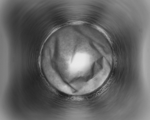 X0000096181194200802081453
