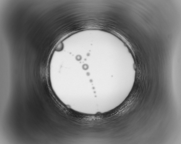 X0000096181195200802081453