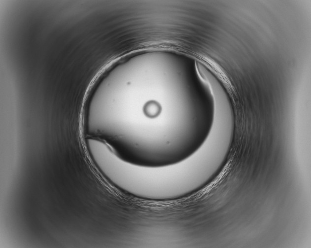 X0000096181196200802081453