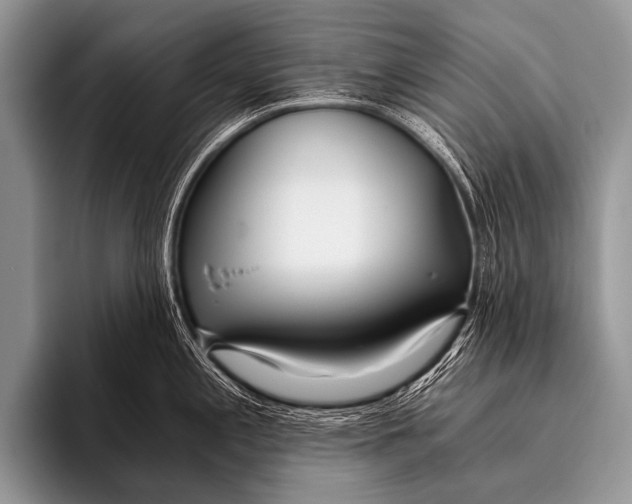 X0000096181197200802081453