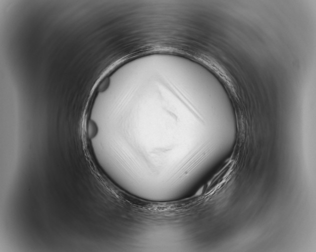 X0000096181198200802081453