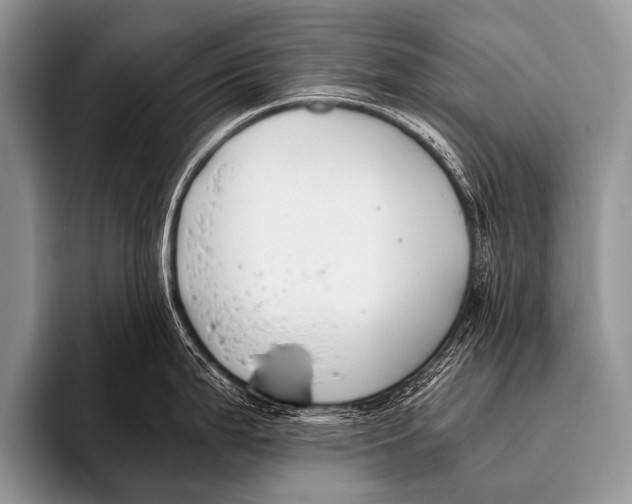 X0000096181199200802081453