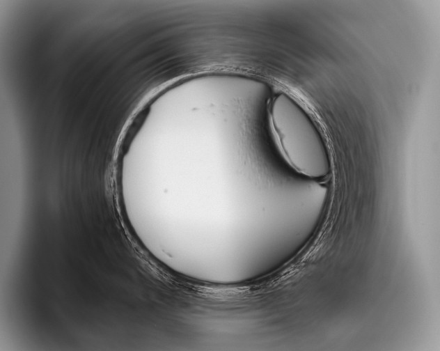 X0000096181200200802081453